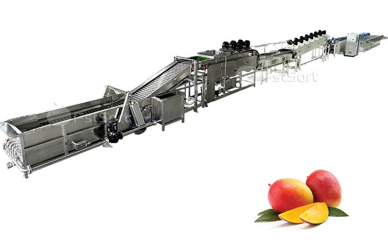 images/1678948899528mango processing line.jpg